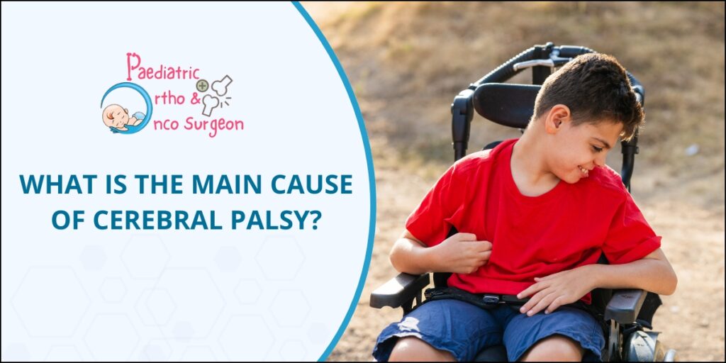 Cerebral palsy causes